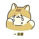 루체인알티스 이미지