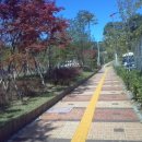 조원동-13 이미지