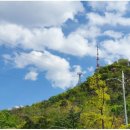 남산쭈꾸미 이미지