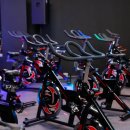 클로바피트니스 이미지