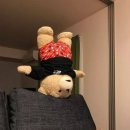 (주)엘제이청은 | 💍W18.혼주 헤어메이크업 선택 - 룰루 • 엘루스제이 계약 (+ 윤쌀롱, 주니엠, 바이엘린 등 14곳 업체별...