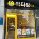 빽다방갈산역점 | 빽다방 삼라봉 티 아이스 신상 음료 리뷰