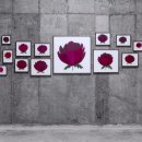 박소영 개인전 이미지