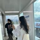 꼬리흔들 유치원 | 250815 2박 3일 여름 제주🌊 (1)_목적은 수영🏊‍♀️✨