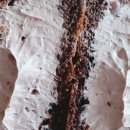 cu행신중앙로점 이미지