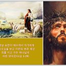 찬송가 / 529장 온유한 주님의 음성 이미지