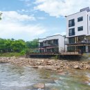 밸리1961 이미지