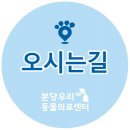 분당우리동물의료센터 이미지