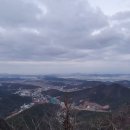 상곡농장 Daum카페