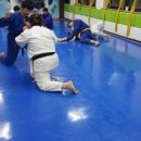 용인대 청룡유도관 네이버블로그