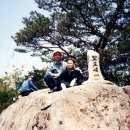 청운고속관광