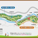 숲속의야영장 이미지