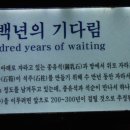 천곡천연동굴 이미지