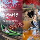 국민안전365식당 | 영주 가볼만한곳 추천 국립산림치유원 웰니스 여행 당일치기 코스