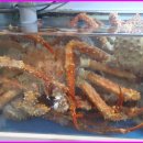 군산수족관 이미지