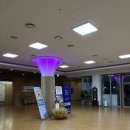 소백산풍기온천리조트 | 경북 영주 당일 노천탕을 즐길 수 있는 유황온천 소백산 풍기온천 리조트 방문 후기
