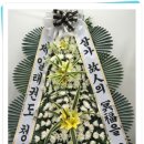 정품화원 네이버블로그
