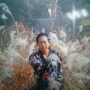 명화태권도체육관 이미지