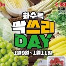 뉴월드 마트로 동홍점 이미지