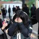 보니 이미지