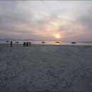 함평주포해수찜 이미지