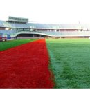 포항야구장 이미지