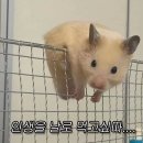 이니스프리대구동성로 | 푸르른 공기가 나를 사무친다 가득하늘을 날을 수 있을 듯한 밤이다 [2025 - 10월 3째주]