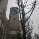 영신로61길 이미지