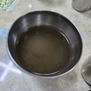 [부산맛집] 서면 부전시장 부잣집밀면에서 내돈내산 밀면, 만두 먹고온 후기