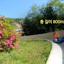 양지파인리조트