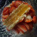 요거트아이스크림의정석구리