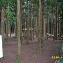 성읍2리 이미지