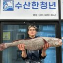 민어청년 네이버블로그