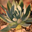 무부농장 이미지