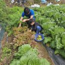 대붕농장 이미지