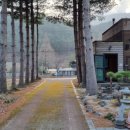 정선뜰펜션2 이미지