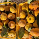 동서고추방앗간 이미지