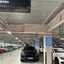 601 | ✈️인천에서 시드니까지! 아시아나 OZ601 탑승 후기 (신혼여행 시작 💕)