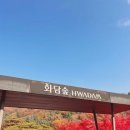 가평연리지 | [경기도 광주] 11월 가을 단풍 명소 화담숲 평일 구경 실시간 후기