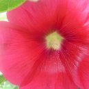 도계2리 이미지