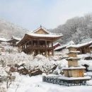영주여행 명소, 영주 부석사 무량수전 배흘림기둥과 마주하다 이미지