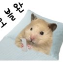요거트아이스크림&요거피플
