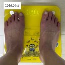 큰엄마국밥 | 마운자로 후기 식욕억제제 병행 20일차 기록 -8.33kg