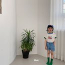 헤이모모