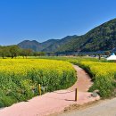 적하리 간이화장실 이미지