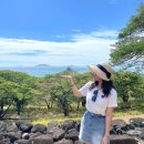 지프월드 | 하와이 쿠알로아랜치 정글투어 예약 복장 팁 지프투어 액티비티 후기