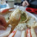 대모회센타