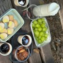 고석정가든 이미지