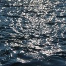 머드스푼 이미지