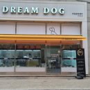 드림독 강아지분양 안심분양센터 인천점 이미지